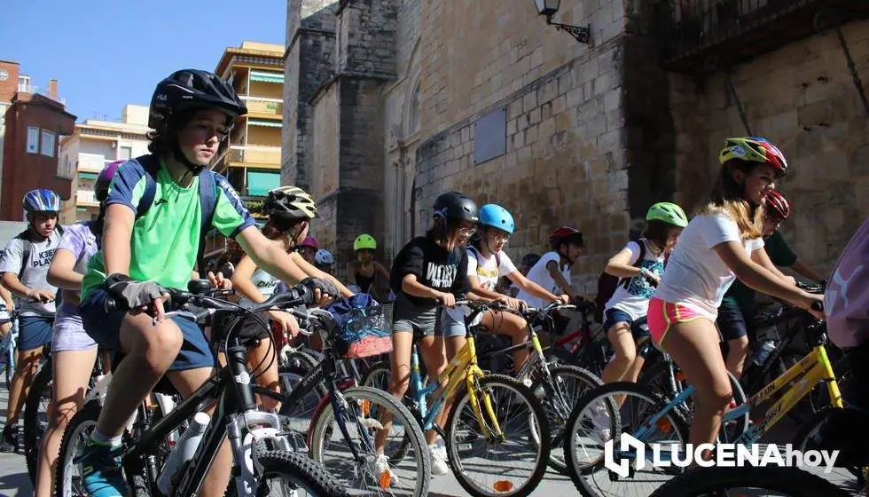 movilidad bicicleta lucena