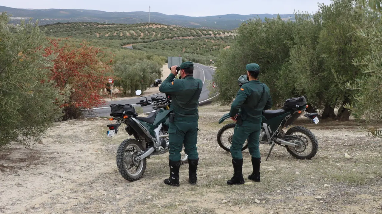 Vigilancia guardia civil olivar olivares