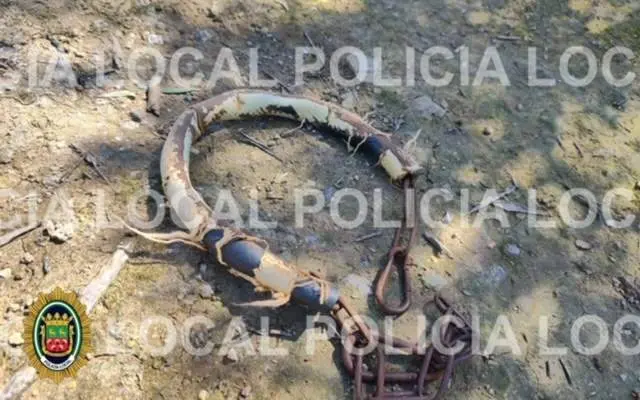 Foto incluida en las diligencias. Policía Local de Cabra