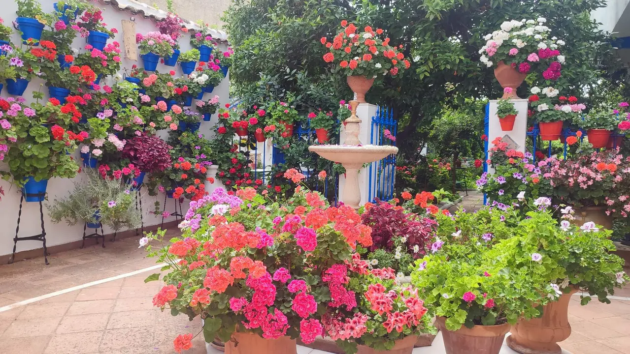 Patio ganador del certamen, en la calle Priego de Rute