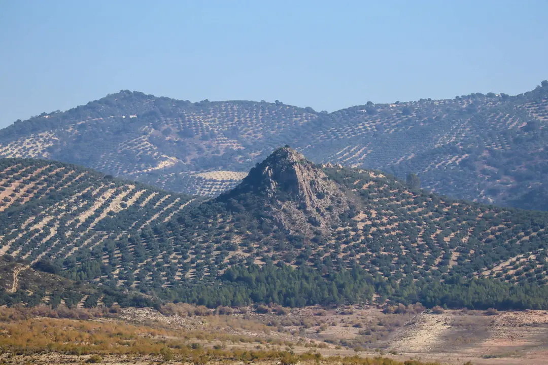 Presentación nuevo embarcadero y área recreativa mirador del Pantano de Iznájar en Rute-14