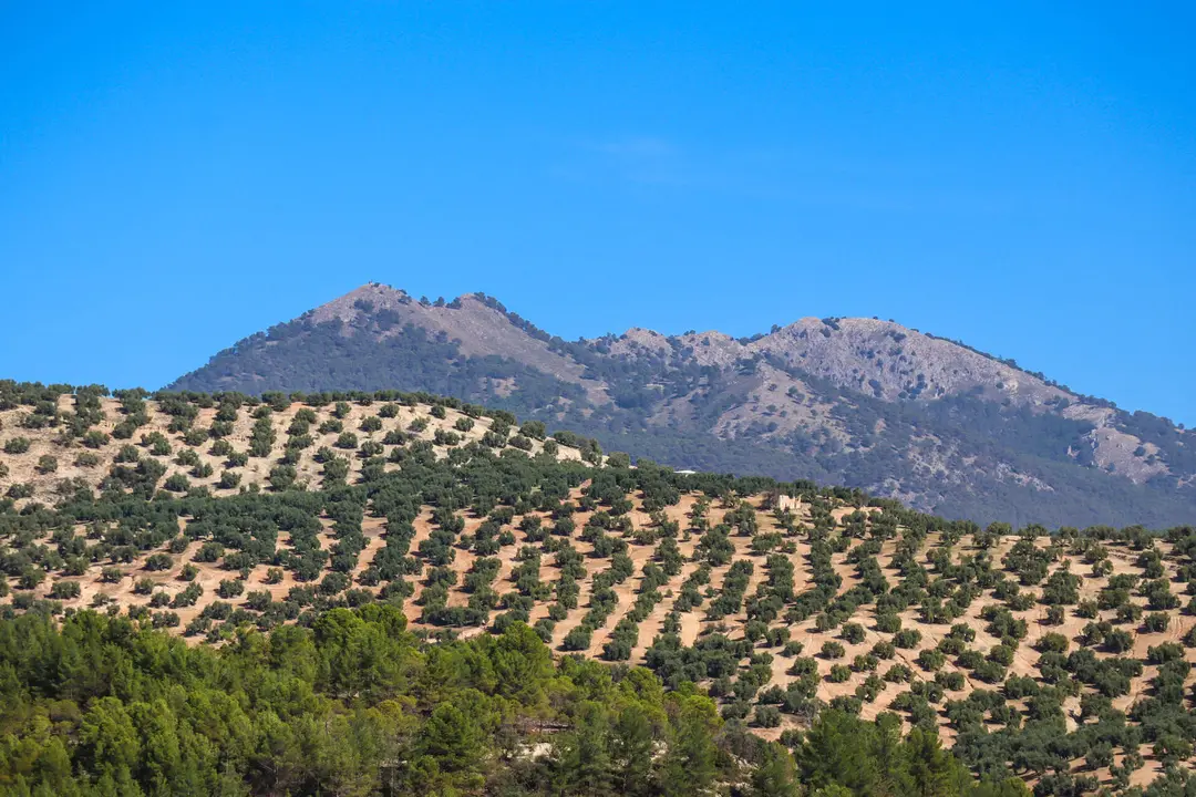 Presentación nuevo embarcadero y área recreativa mirador del Pantano de Iznájar en Rute-18