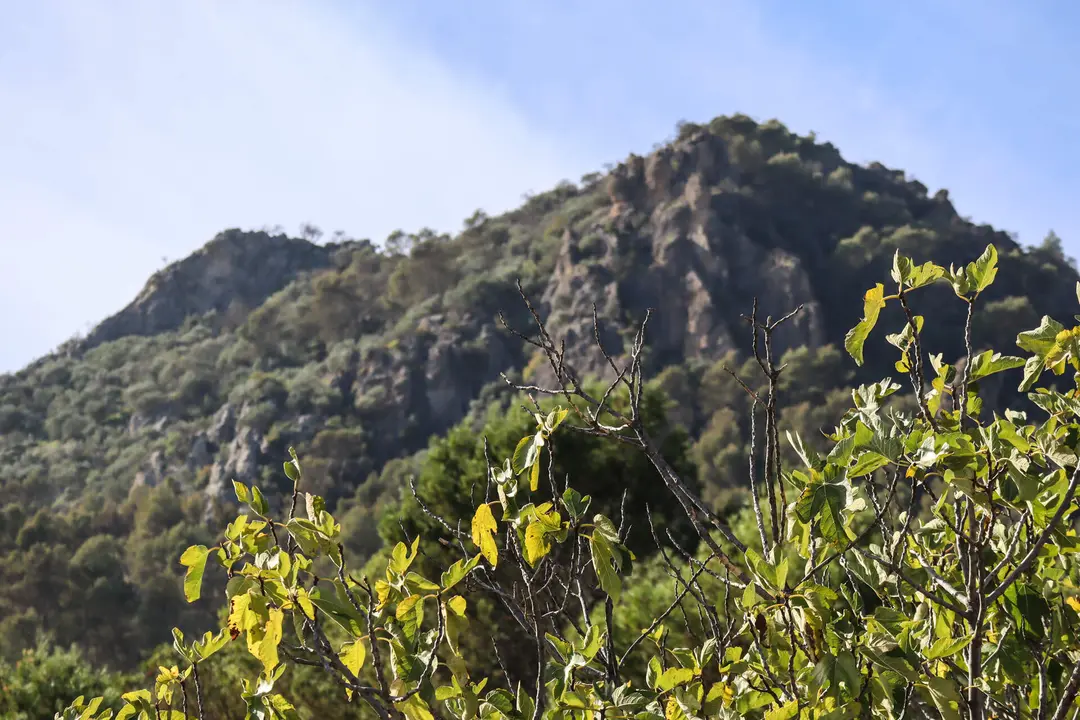 Presentación nuevo embarcadero y área recreativa mirador del Pantano de Iznájar en Rute-19