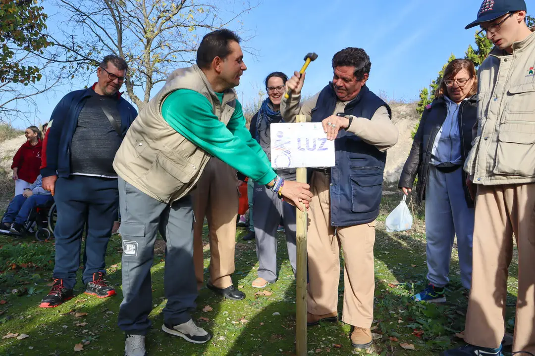 Plantación 'Bosque de las mil ramas'-3