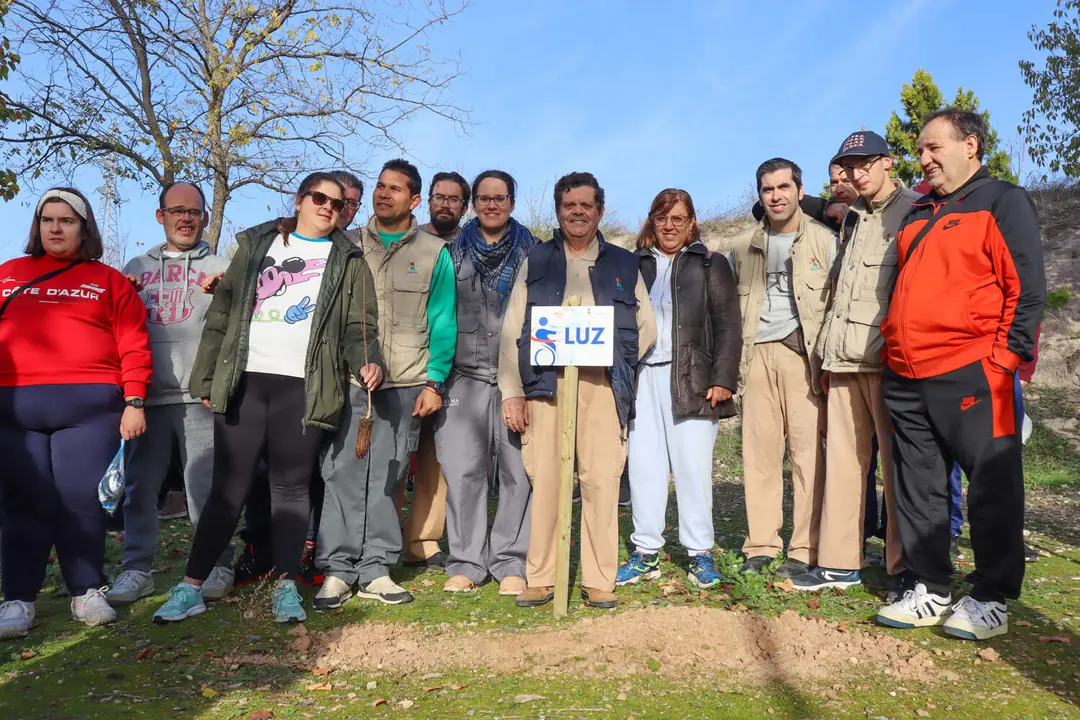 Plantación 'Bosque de las mil ramas'-4