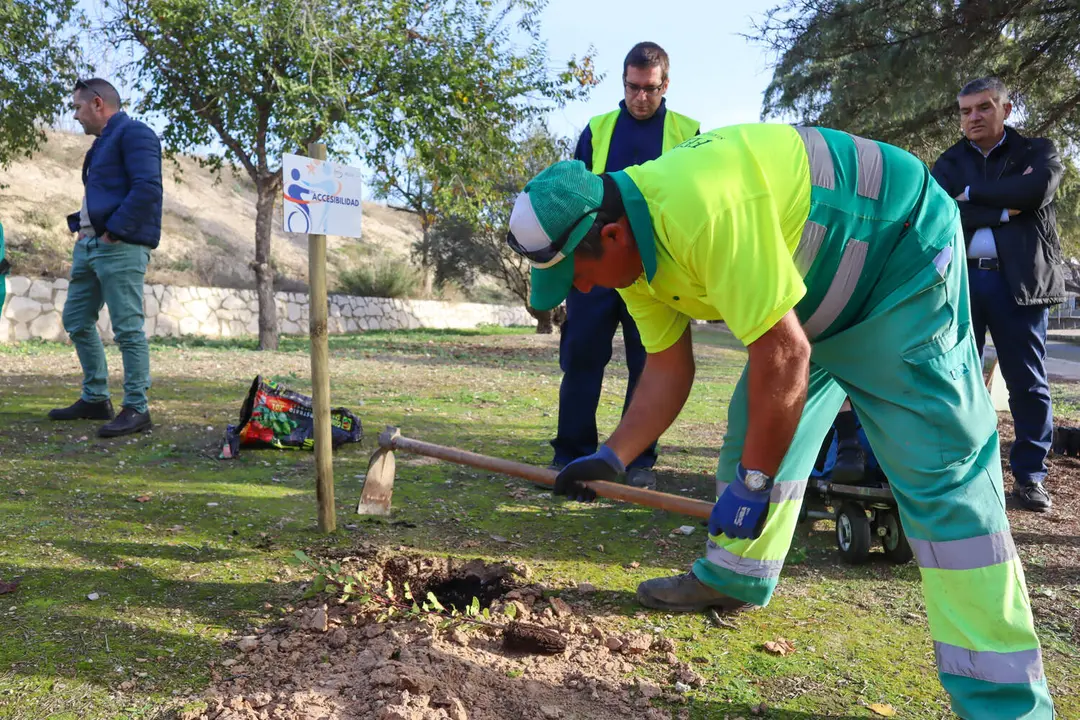 Plantación 'Bosque de las mil ramas'-5