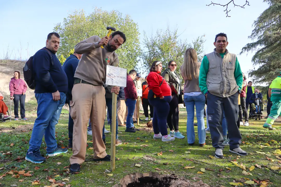 Plantación 'Bosque de las mil ramas'-6