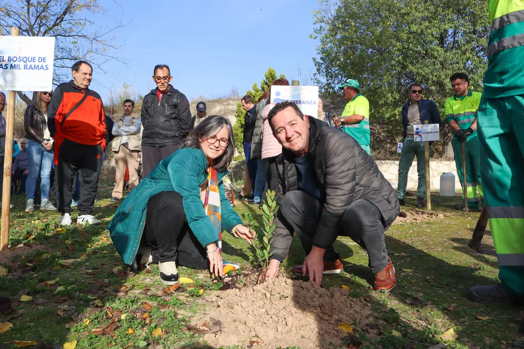 Plantación 'Bosque de las mil ramas'-9