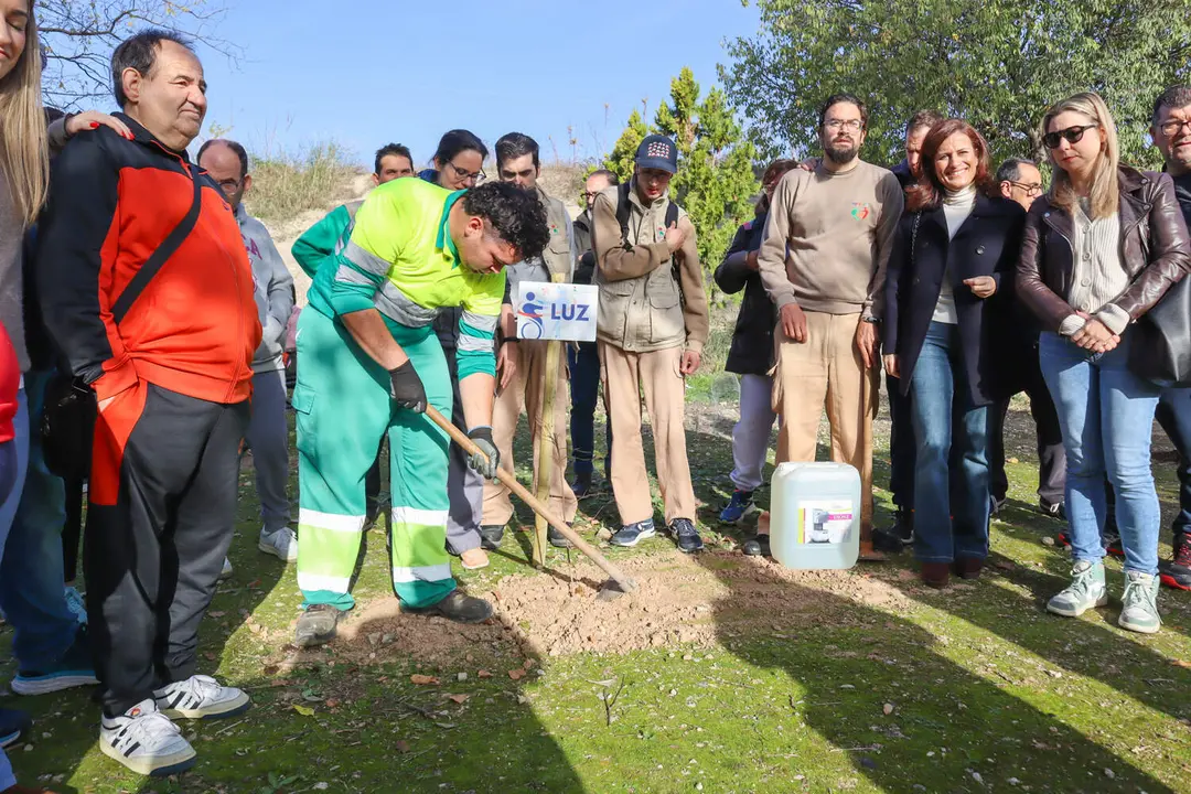 Plantación 'Bosque de las mil ramas'-12