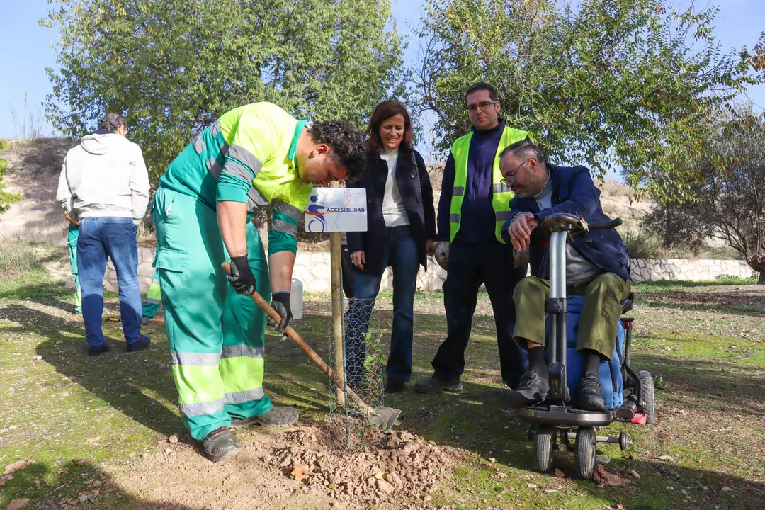 Plantación 'Bosque de las mil ramas'-15