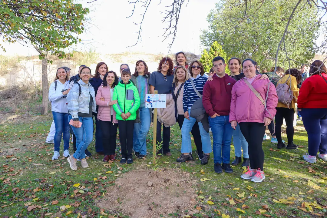 Plantación 'Bosque de las mil ramas'-17