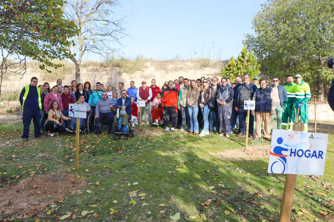 Plantación 'Bosque de las mil ramas'-18