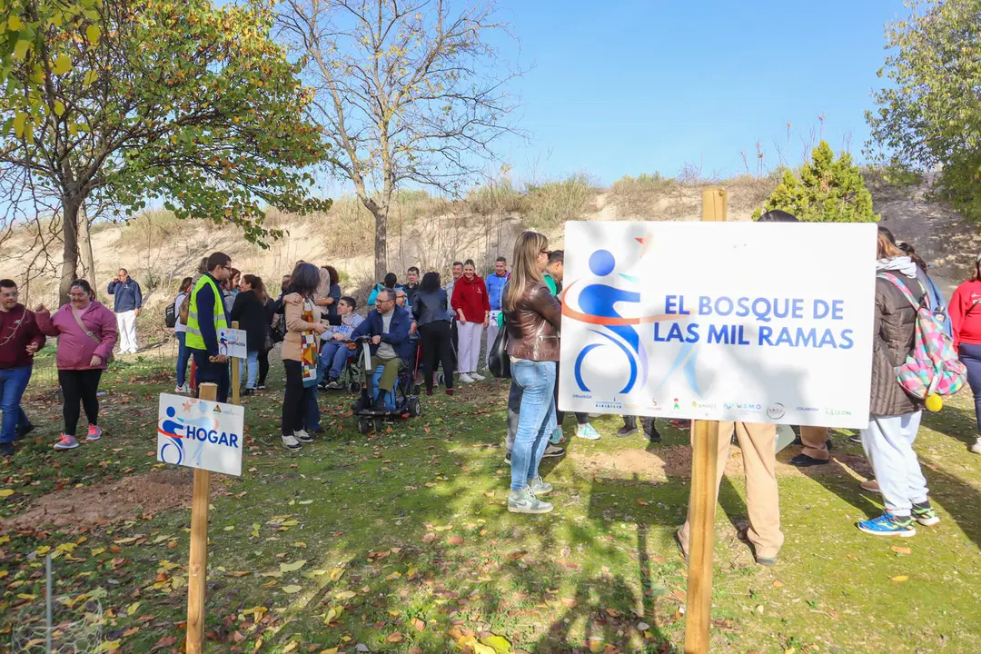 Plantación 'Bosque de las mil ramas'-19