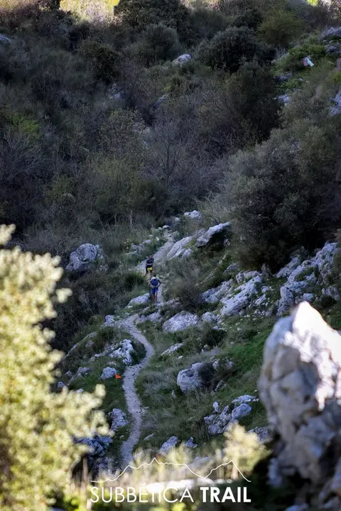 9Trail Subbética 2025