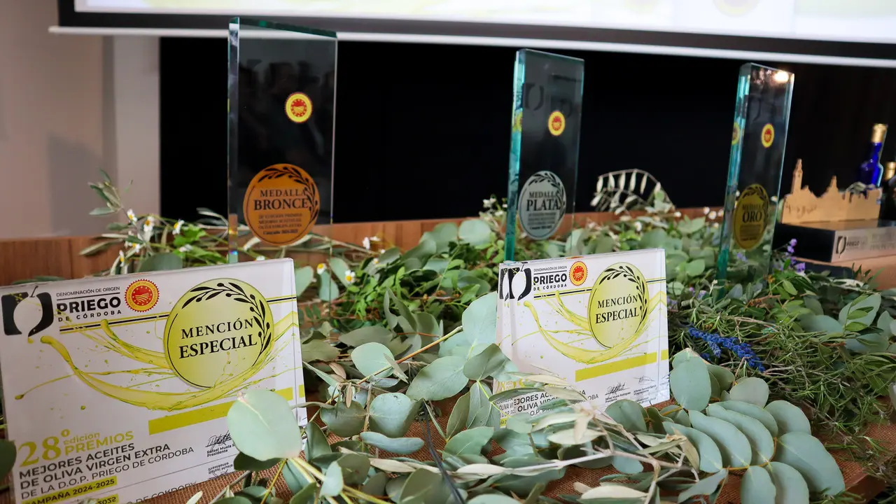 28&ordf; Edición de los Premios a los Mejores Aceites de Oliva Virgen Extra de la DOP Priego de Córdoba-03