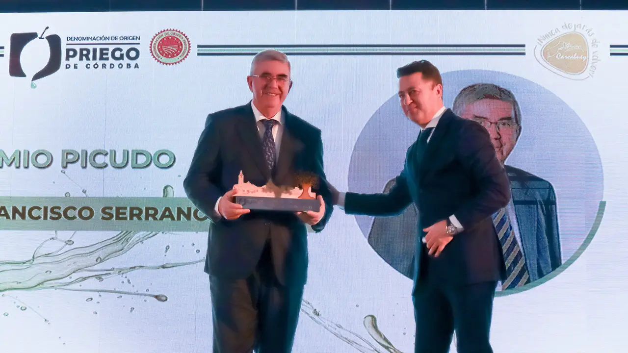 28&ordf; Edición de los Premios a los Mejores Aceites de Oliva Virgen Extra de la DOP Priego de Córdoba-14