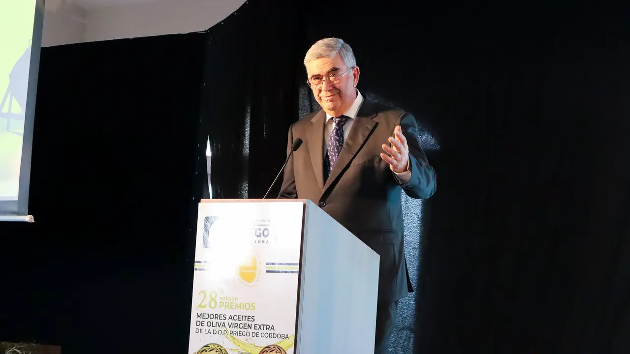 28&ordf; Edición de los Premios a los Mejores Aceites de Oliva Virgen Extra de la DOP Priego de Córdoba-15