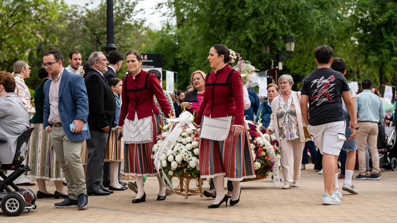 Fiestas Aracelitanas 2025 - Ofrenda de flores (9)