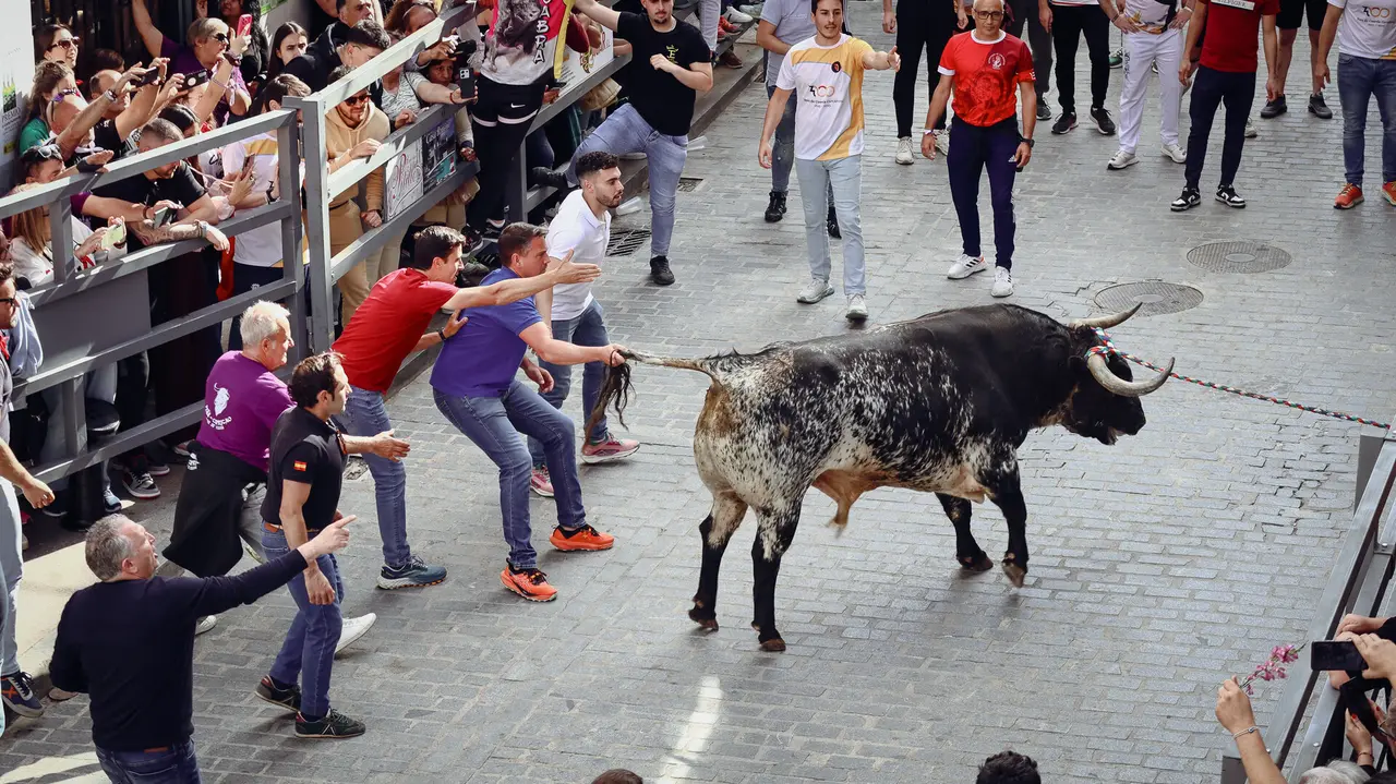 Toro de Cuerda de Carcabuey 2025.-21