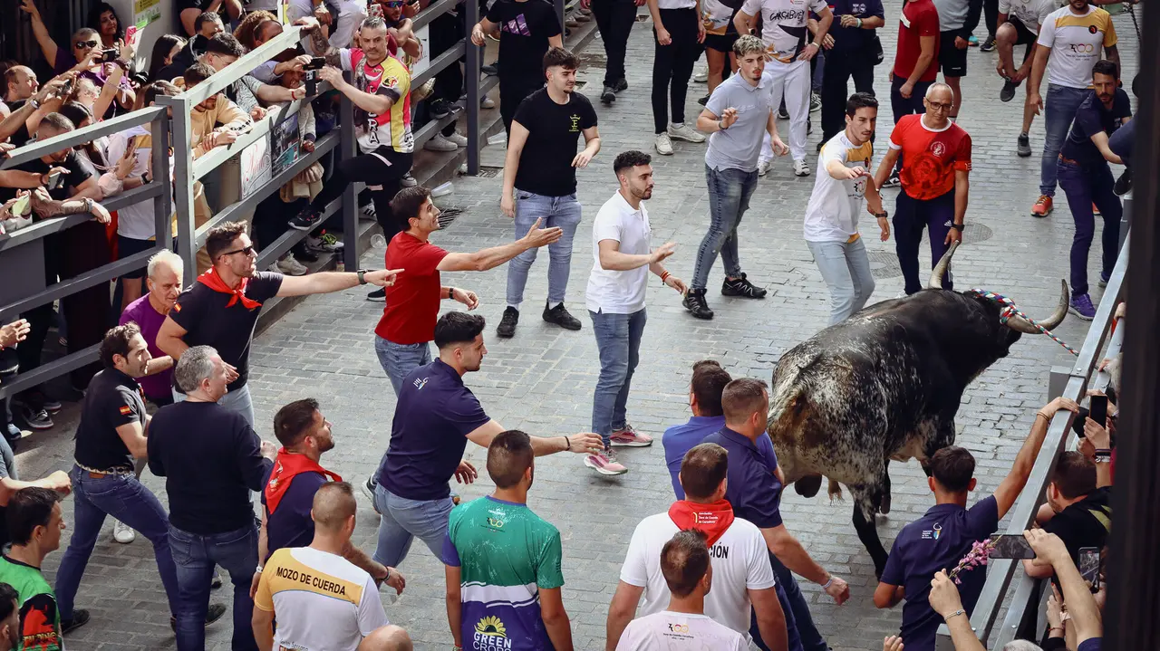 Toro de Cuerda de Carcabuey 2025.-22