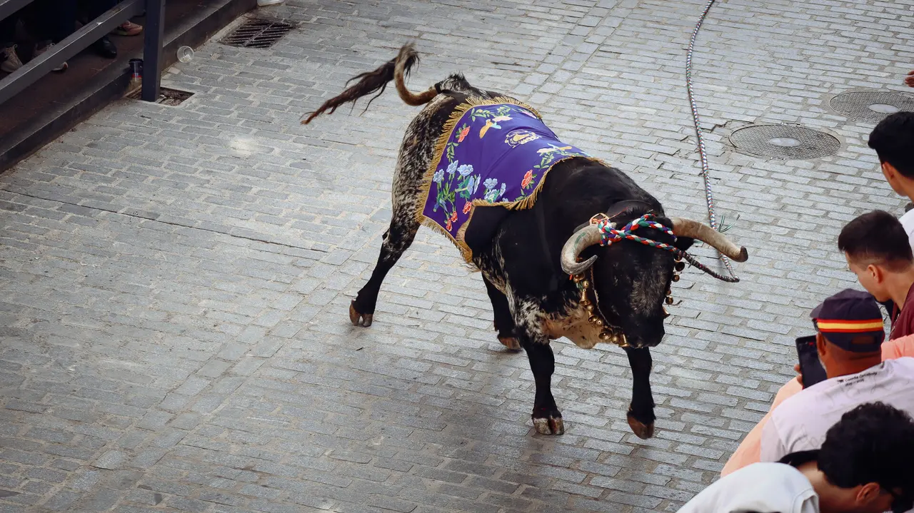 Toro de Cuerda de Carcabuey 2025.-27