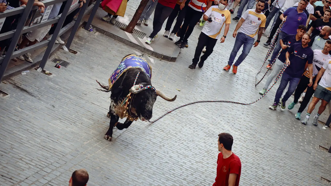 Toro de Cuerda de Carcabuey 2025.-42