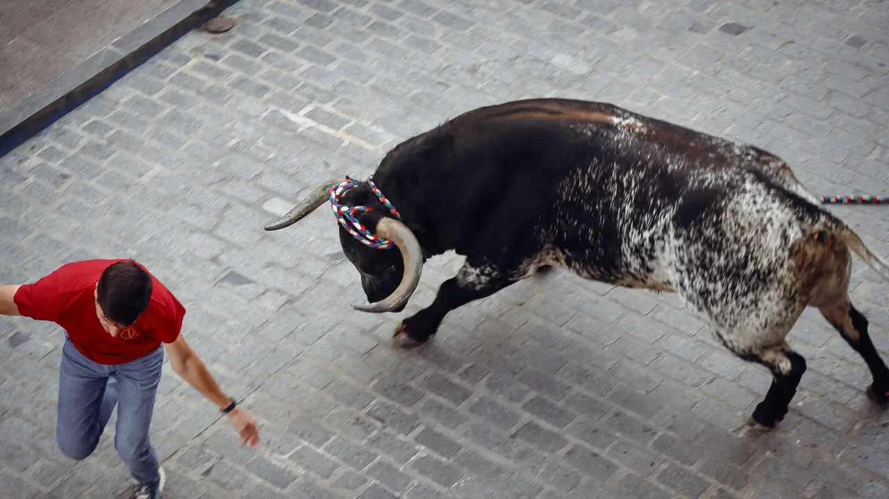 Toro de Cuerda de Carcabuey 2025.-60