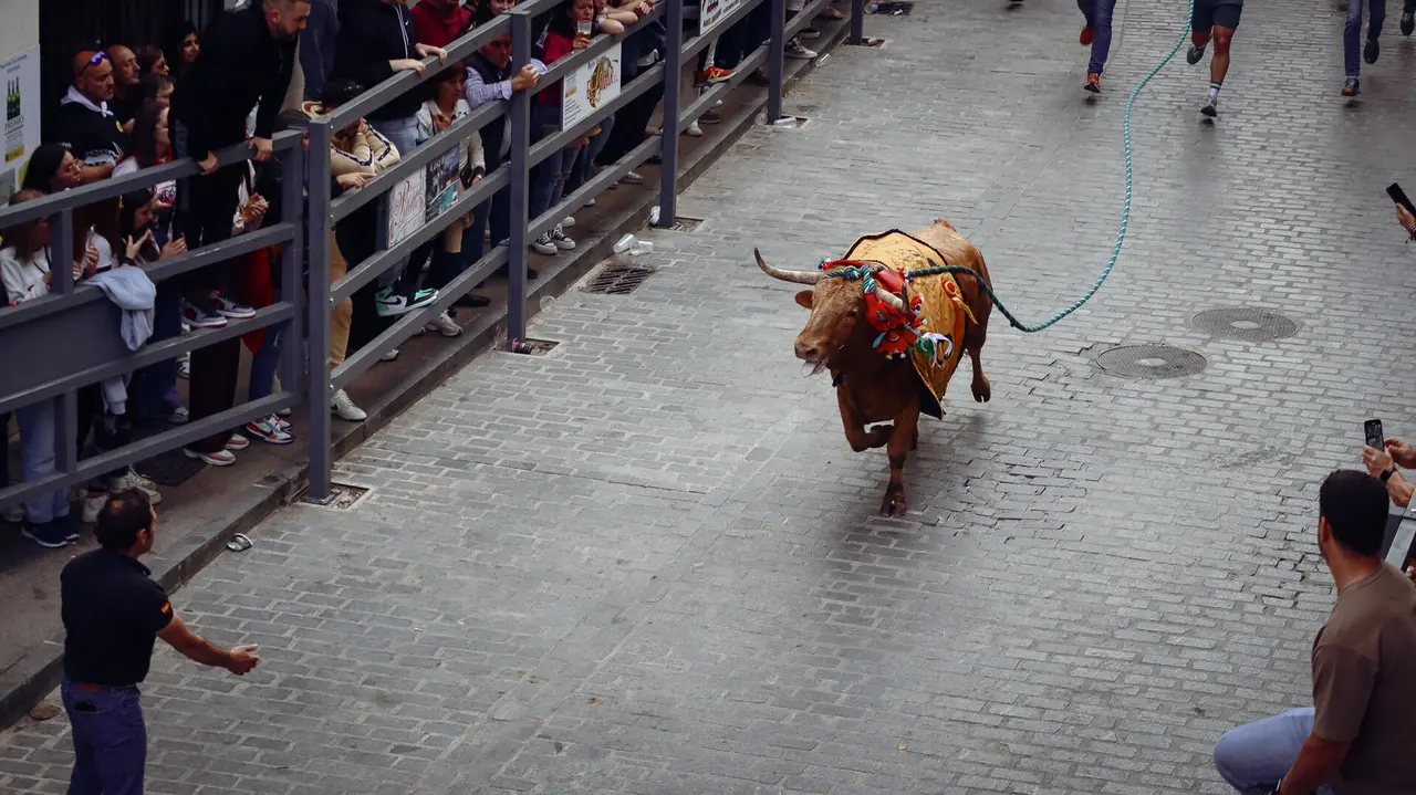 Toro de Cuerda de Carcabuey 2025.-75