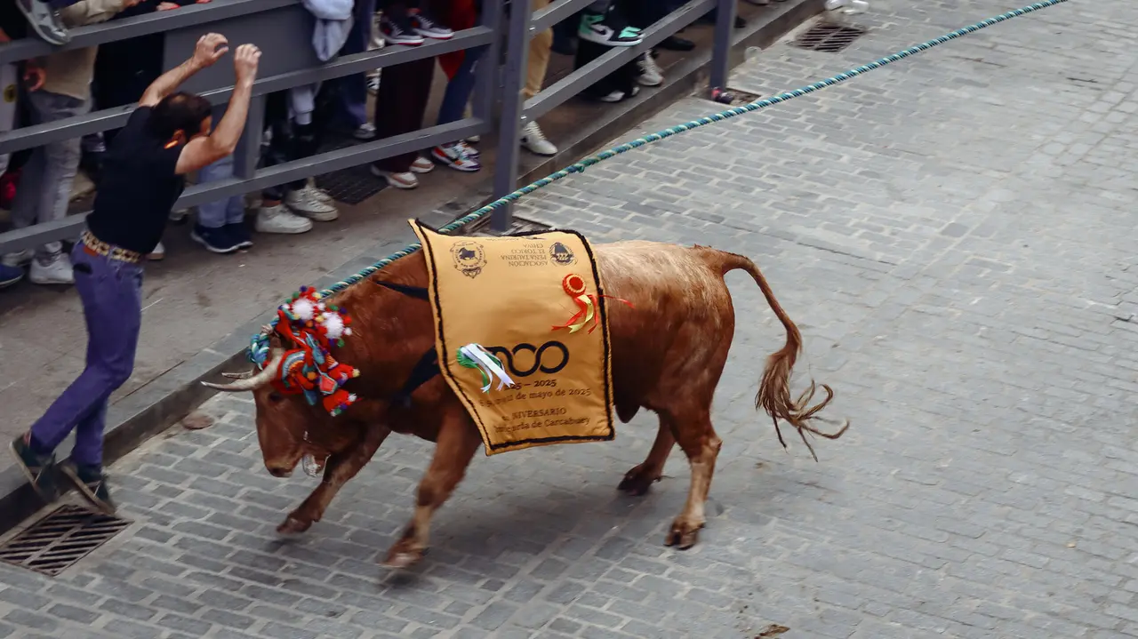 Toro de Cuerda de Carcabuey 2025.-76