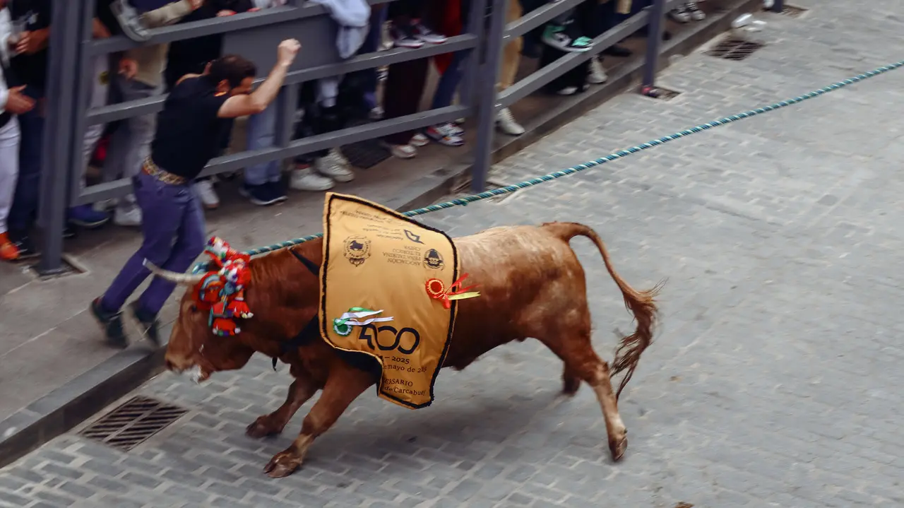 Toro de Cuerda de Carcabuey 2025.-77