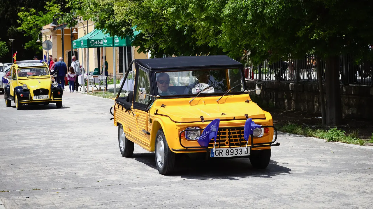 III Concentración Clásicos Citroën-65