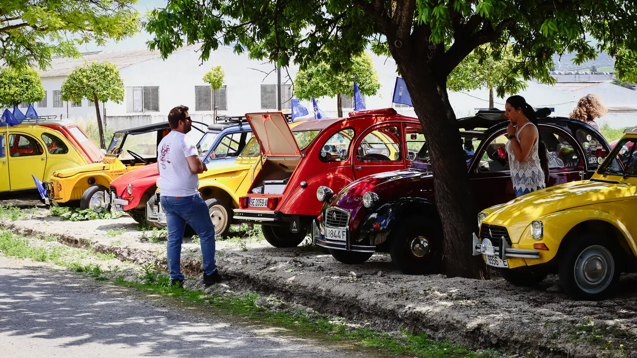 III Concentración Clásicos Citroën-82
