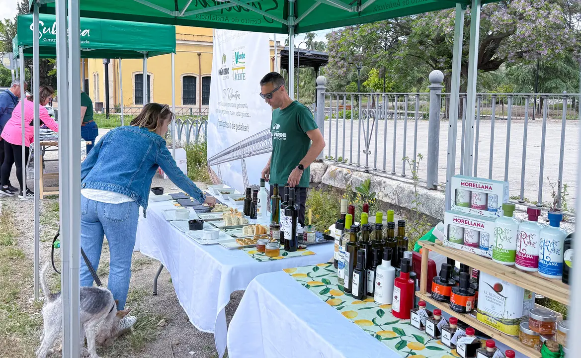 Actividad Vía Verde del Aceite en antigua estación de Lucena-15