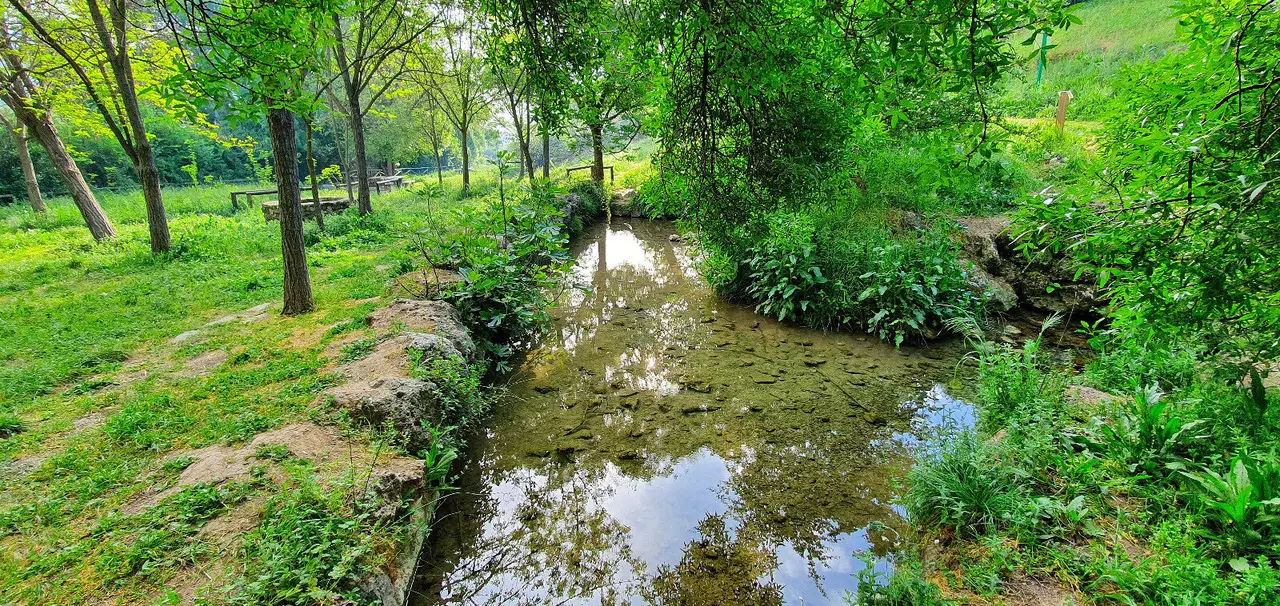 manantiales del Parque Natural8