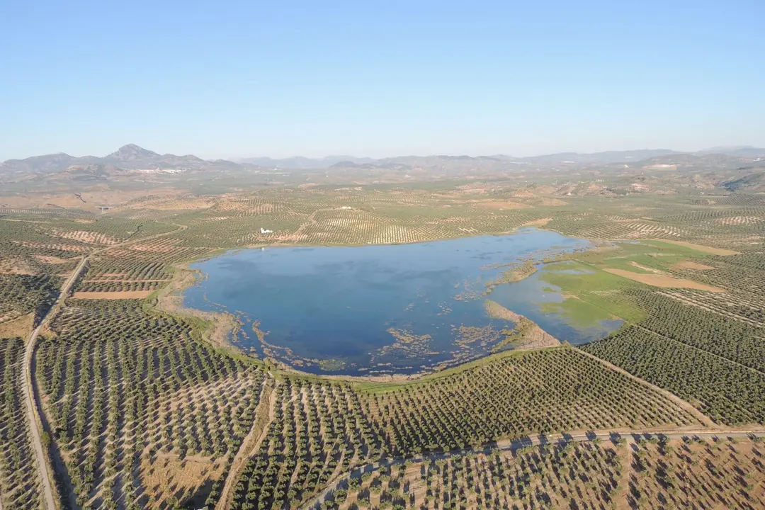 Laguna del Salobral