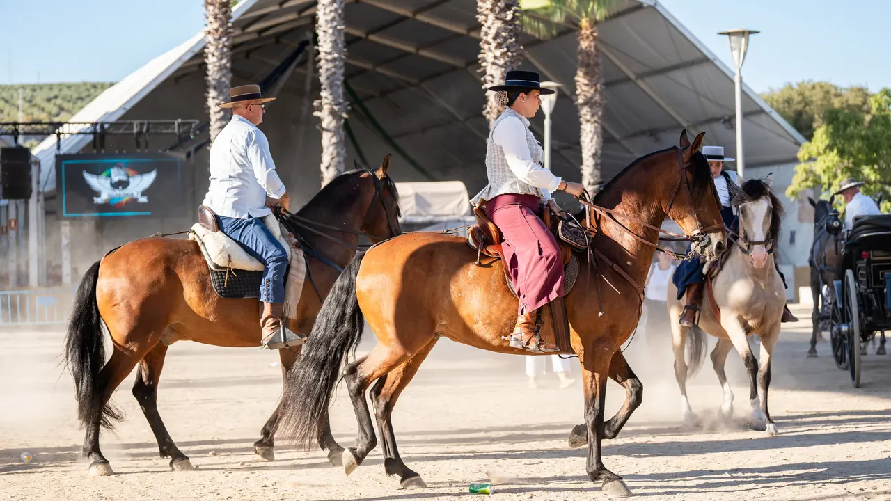 Feria del Valle 2025 - Viernes - Gitanas y Caballistas (21)