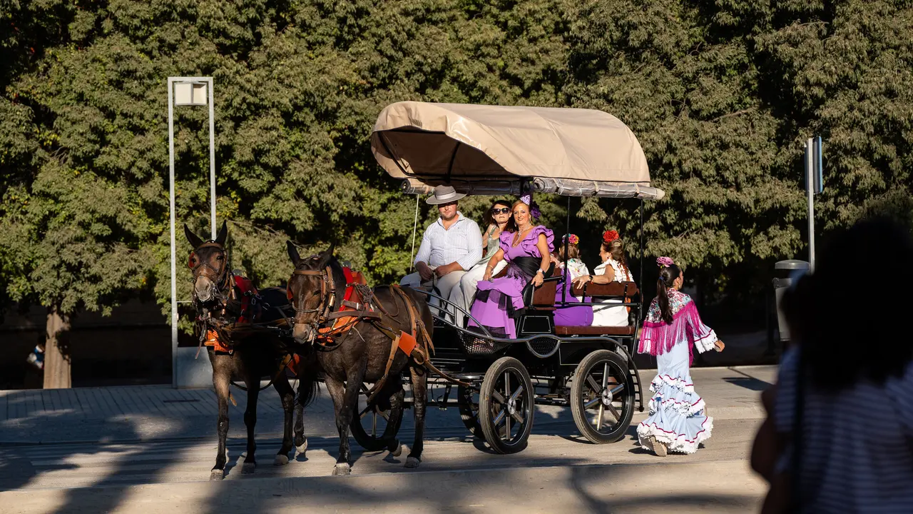 Feria del Valle 2025 - Viernes - Gitanas y Caballistas (37)