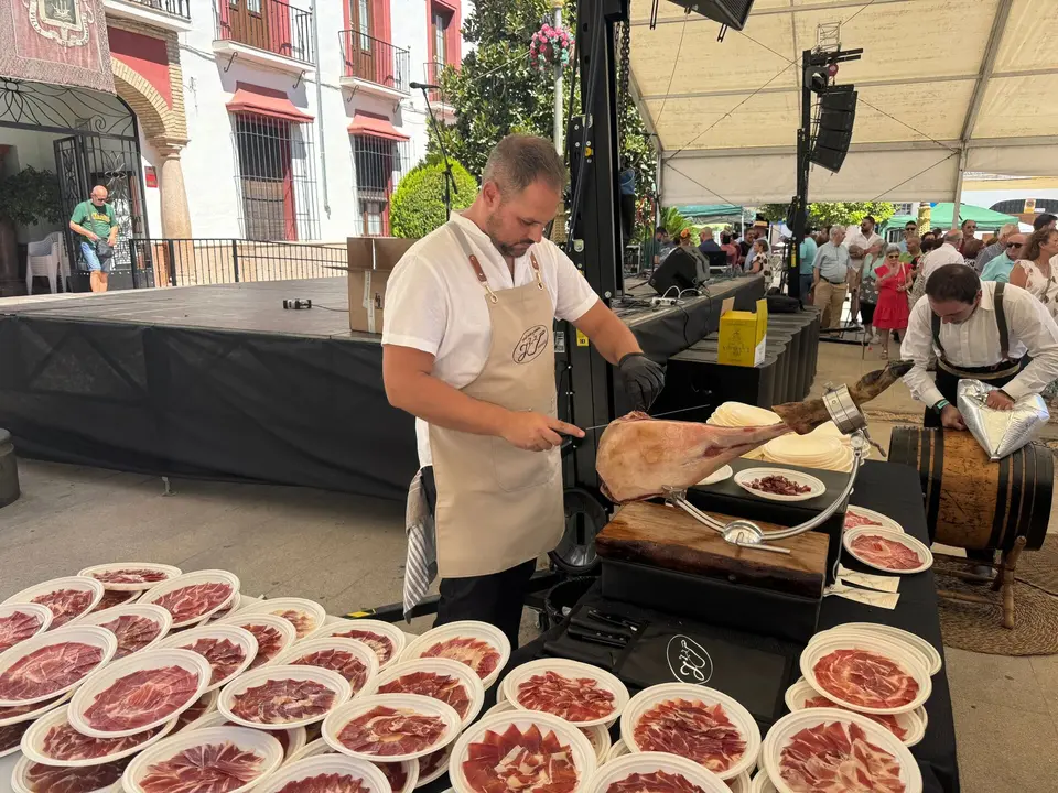 Fiestas de la Virgen de Gracia de Benamejí 202510