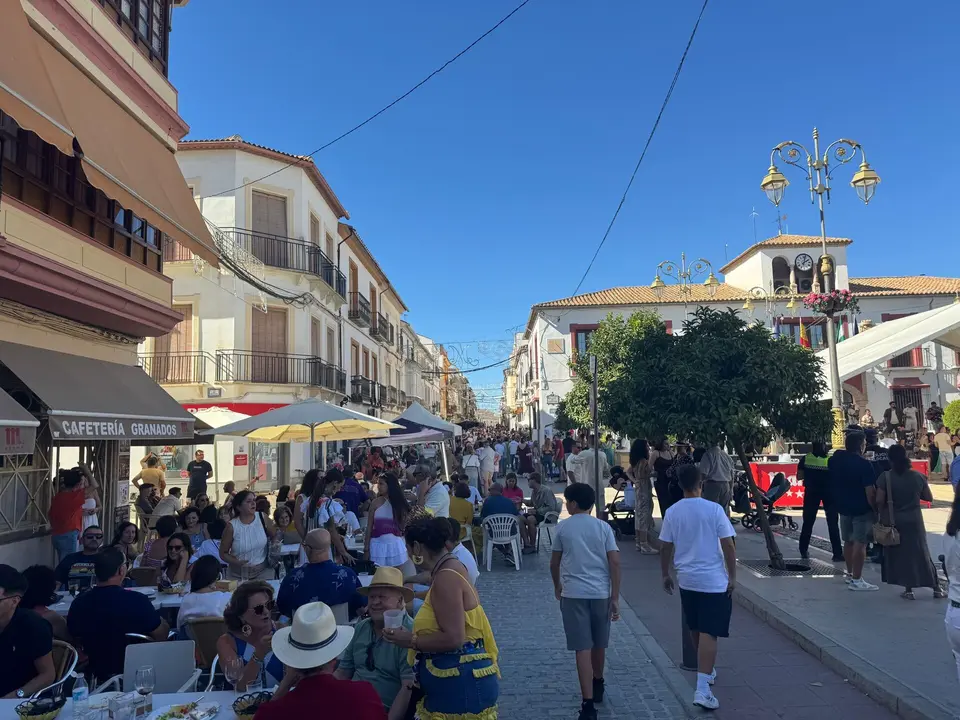 Fiestas de la Virgen de Gracia de Benamejí 202522