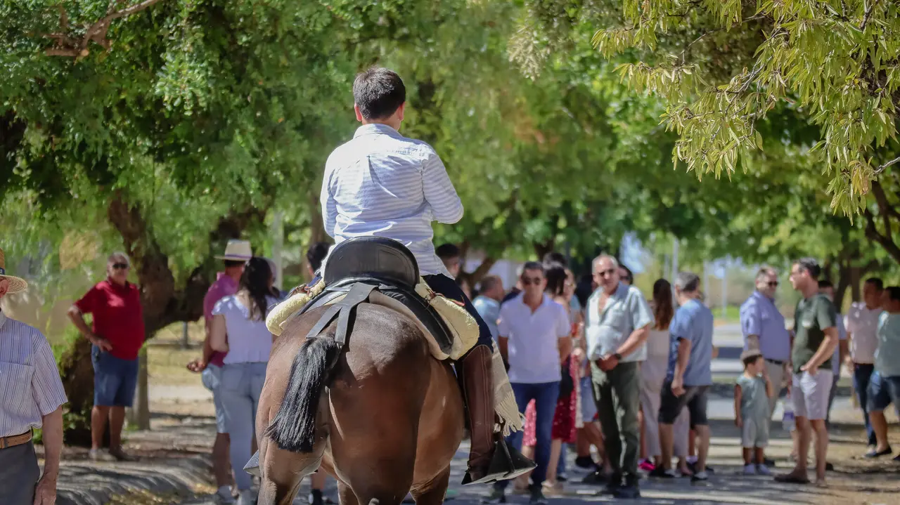 XVIII Feria del Ganado de Lucena-16
