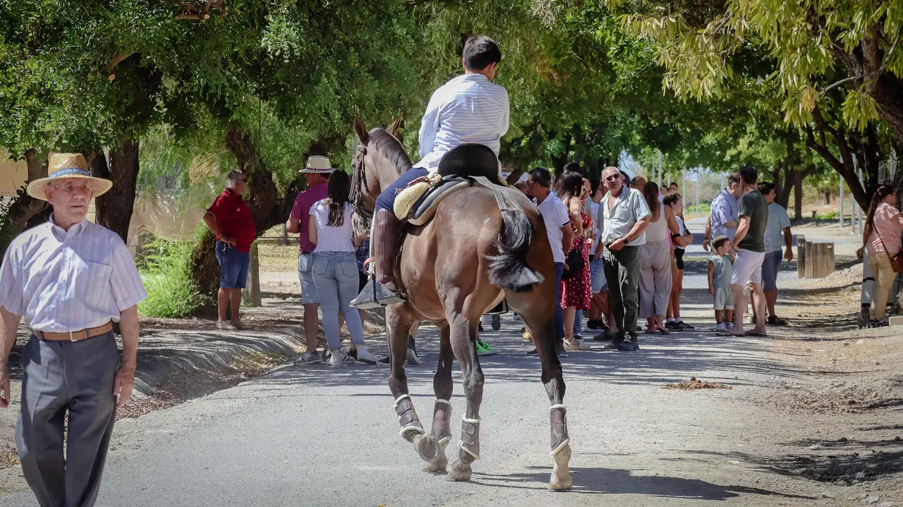 XVIII Feria del Ganado de Lucena-17