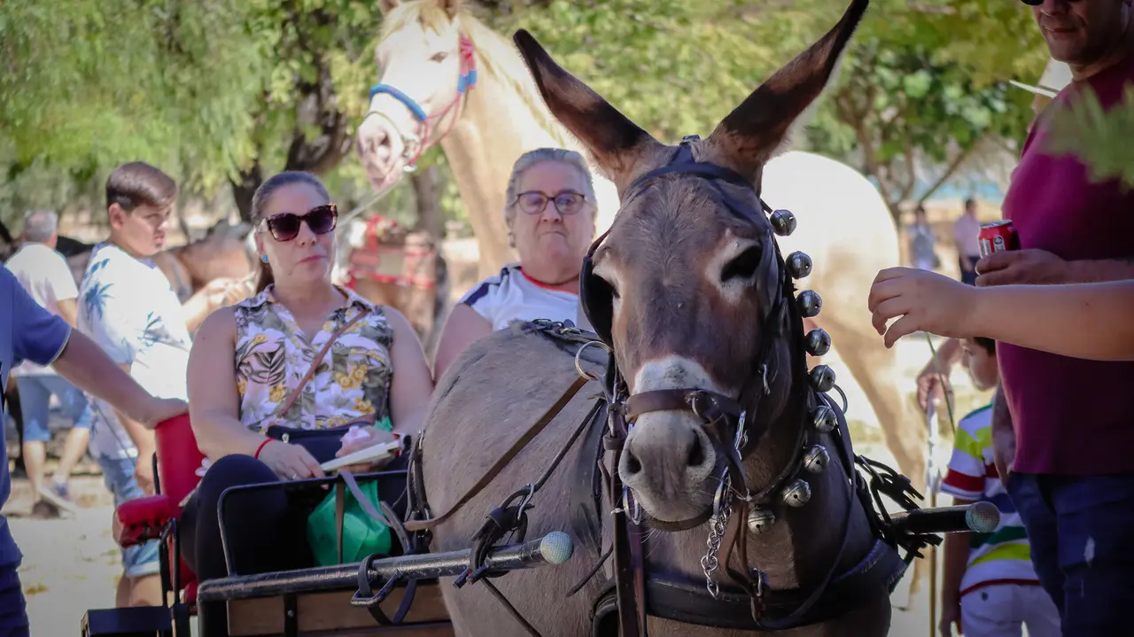 XVIII Feria del Ganado de Lucena-25