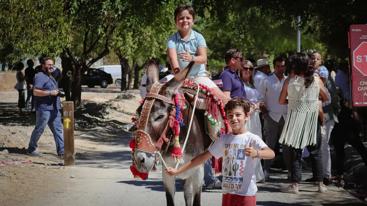 XVIII Feria del Ganado de Lucena-45