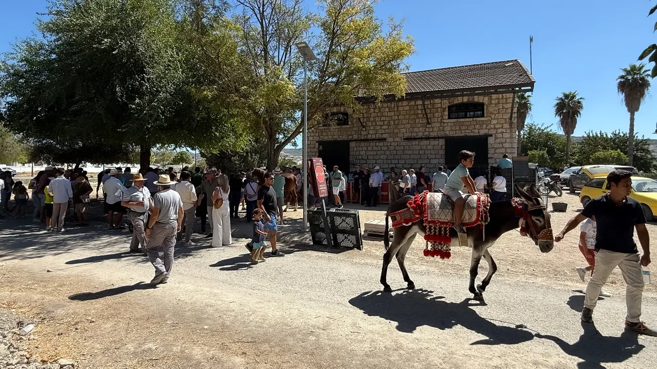 XVIII Feria del Ganado de Lucena-60