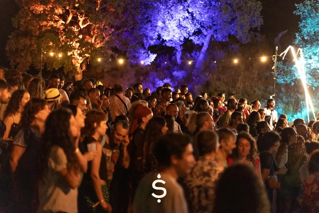 P&uacute;blico asistente a la &uacute;ltima edici&oacute;n del festival Sonraiz