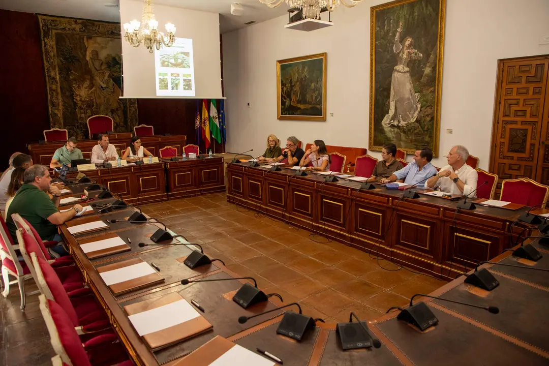 Jornadas de sensibilización de Oleoturismo en Diputaci&oacute;n
