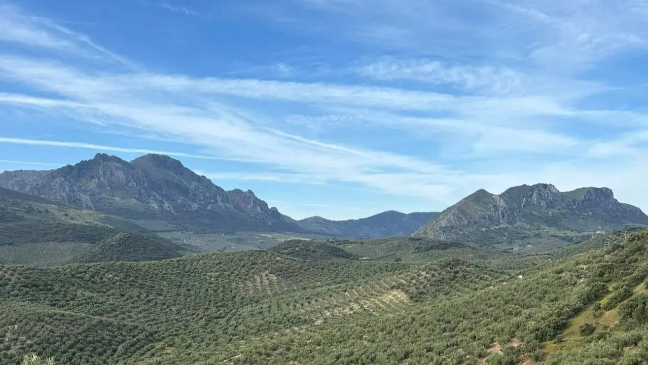 Parque Natural