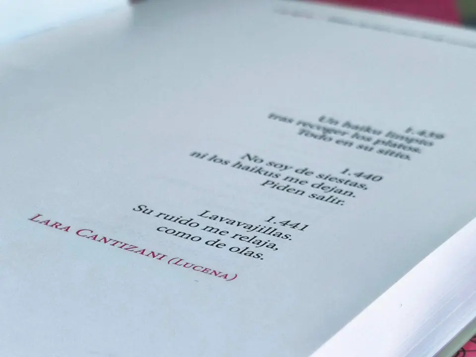 Poesía de Manuel Lara Cantizani