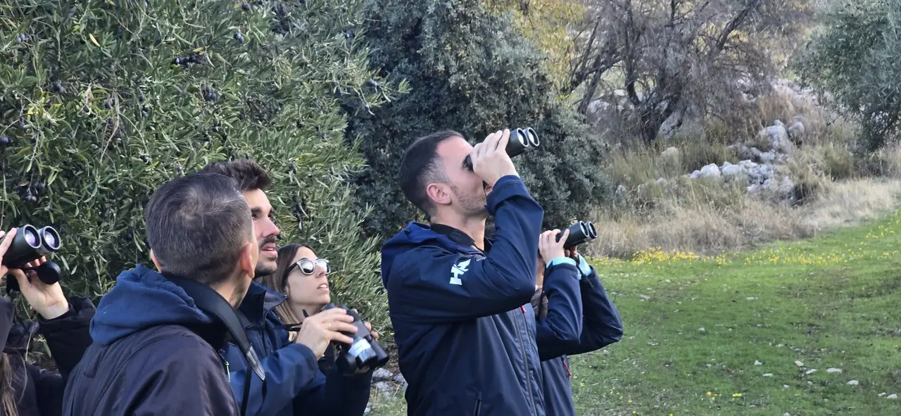 Ruta biodiversidad del olivar en Zuheros2