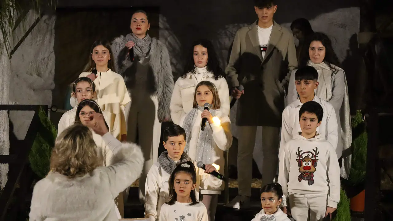 Enciendido de Navidad-66